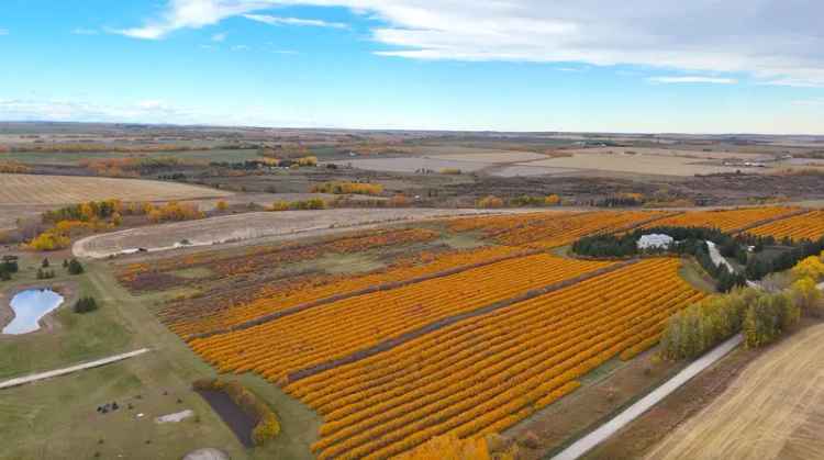 151-Acre Agricultural Parcel with 35.5-Acre Mature Saskatoon Berry Orchard - Dogpound, AB