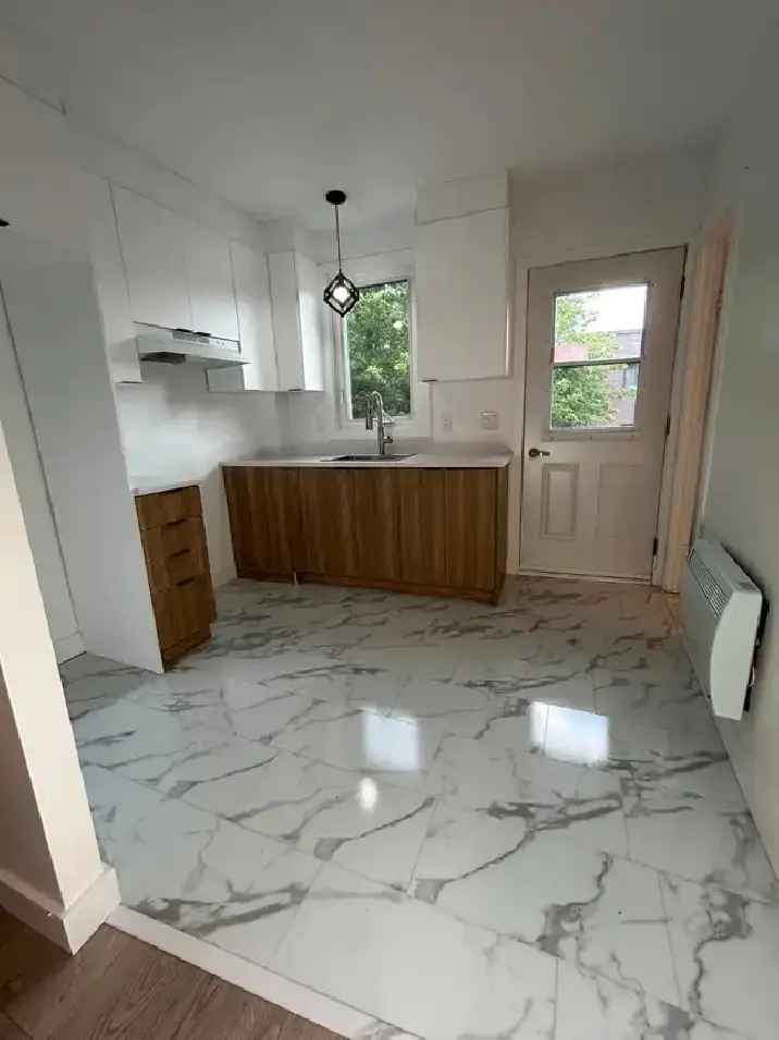 3 1/2 Rosemont 1 Bedroom Renovated Apartment - July 1st