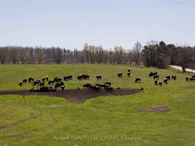 175-Acre Bison Ranch with Two Homes and Meat Store