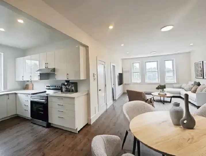 Fully Renovated 3 Bed 2 Bath Apartment Available Immediately Pets OK