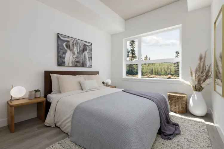 Rent Apartment in Mission with Large Open Living Spaces and Modern Features