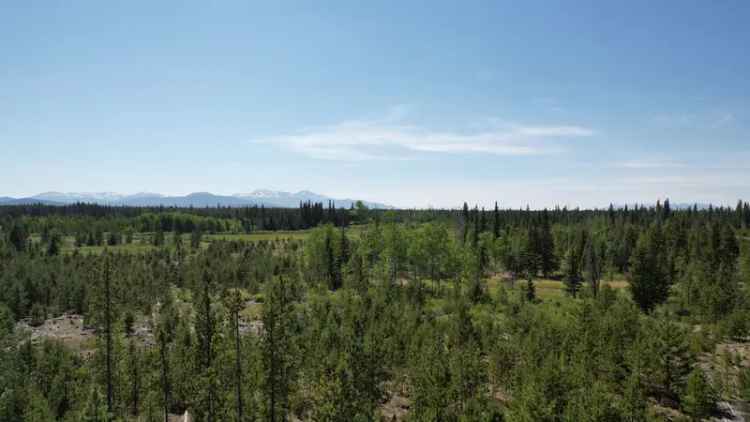 Commercial Lot with Highway Frontage - Nimpo Lake, BC