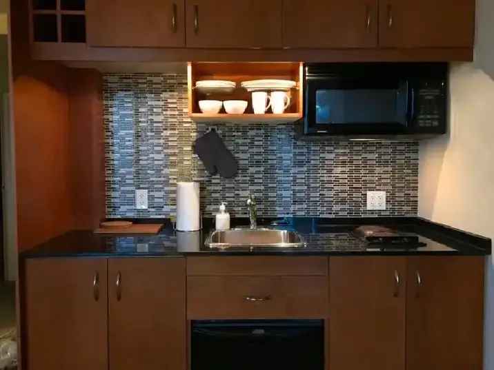 Executive Downtown Condo: Fully Furnished, Amenities Included