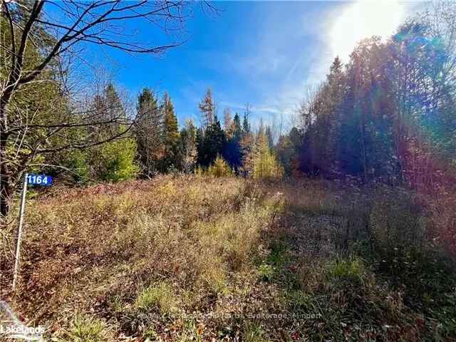 172 Acre Lot in Haliburton County Peaceful Countryside Ready to Build