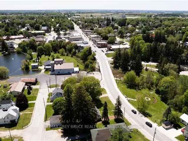 Chesley Building Lot Downtown Core - Home or Investment