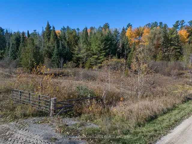 1.6 Acre Lot Near Peterborough Trans Canada Trail Access