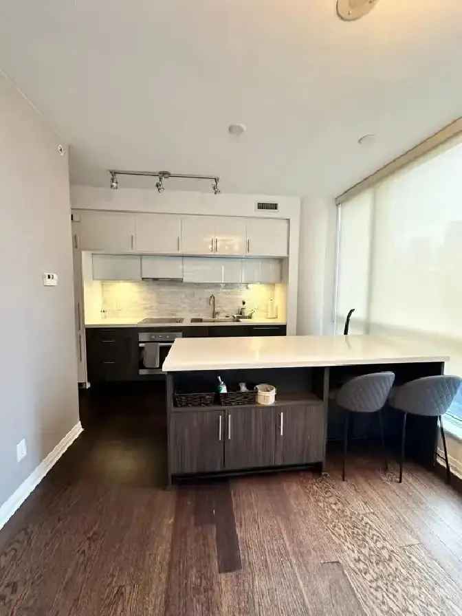 Stunning Condo with CN Tower View   Top Amenities