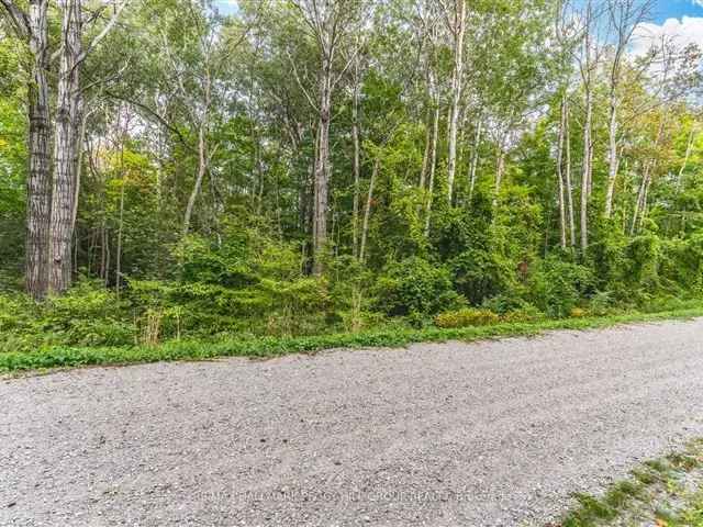 Georgian Bay Lot: Build Your Dream Home or Cottage