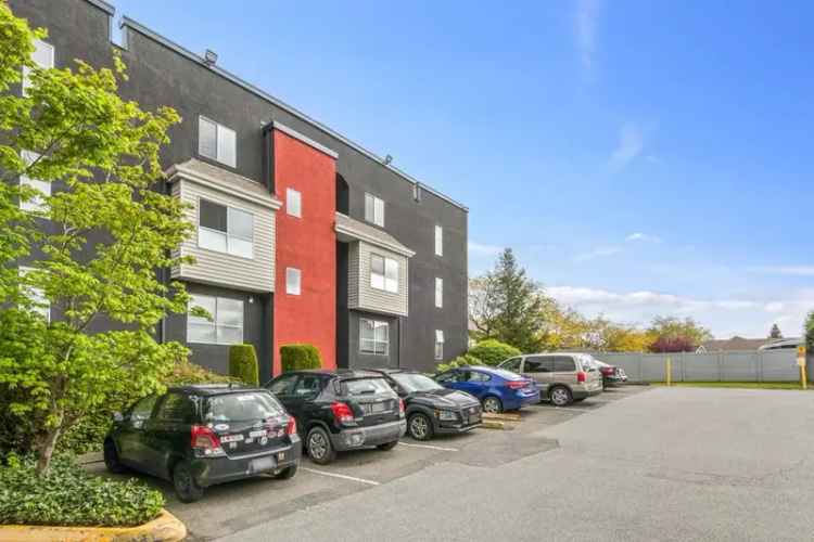 Langley City Renovated Unit - Pet Friendly
