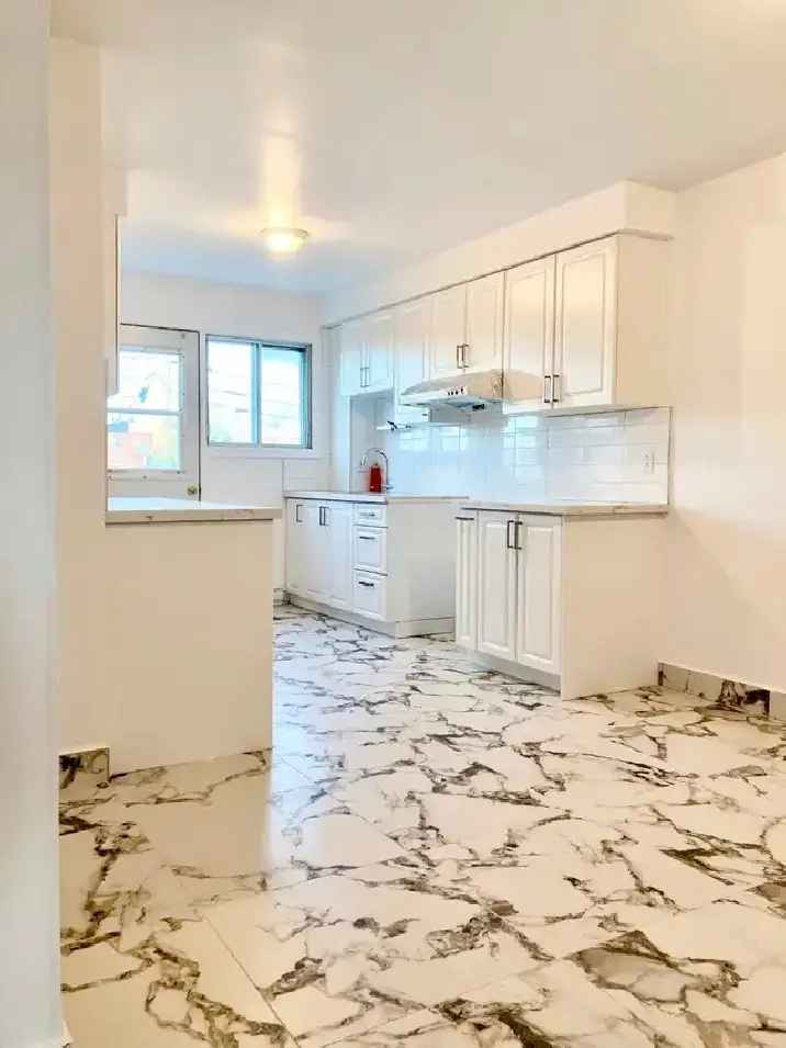 Renovated Apartment Near Amenities - Washer & Stove Included
