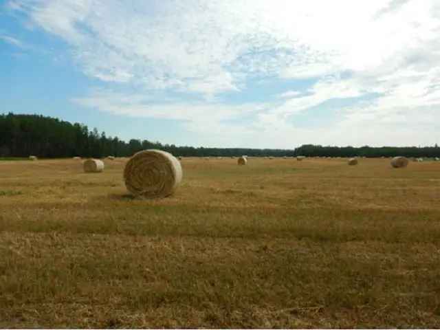 256 Acre Nechako Riverfront Property - Farming Opportunity