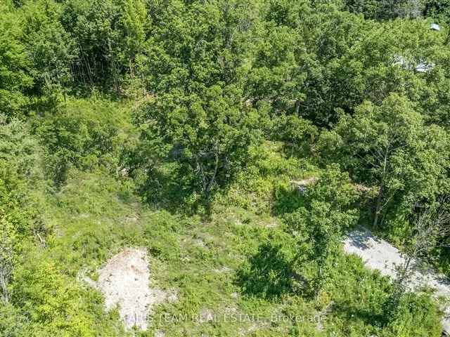 6.57-Acre Lot Ready for Your Dream Home - VTB Mortgage Option Available