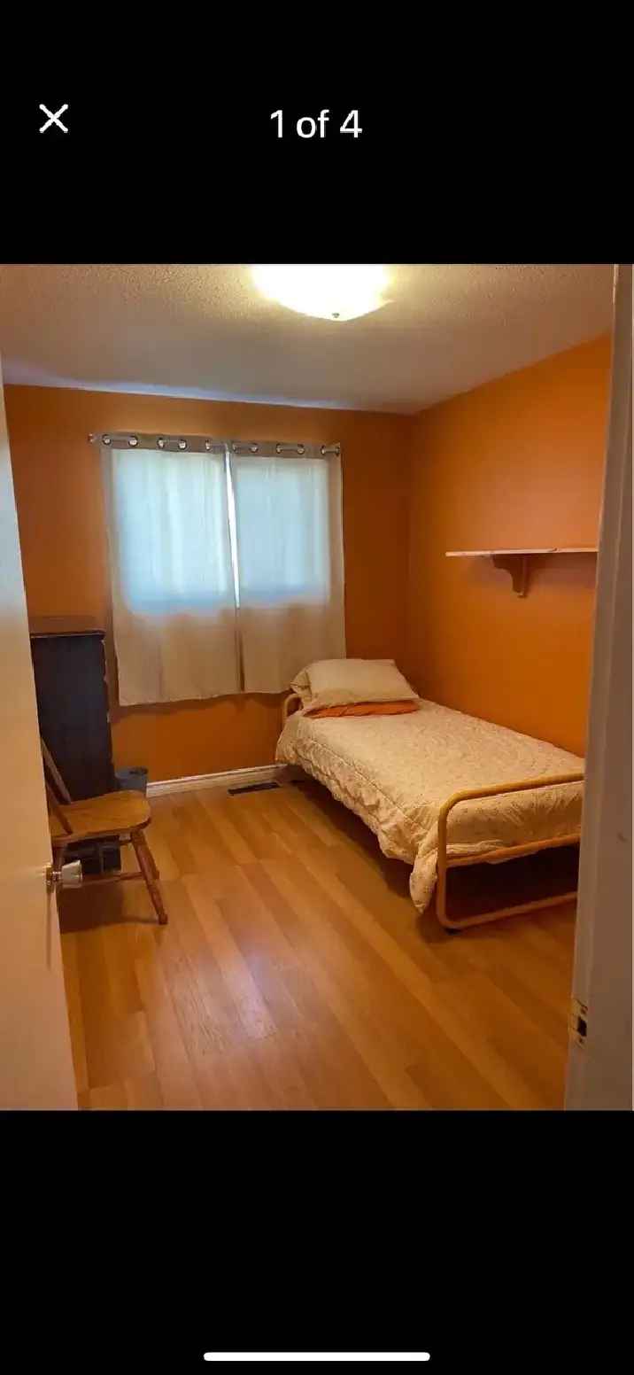 Room for rent in NE Edmonton with pet-friendly features and amenities