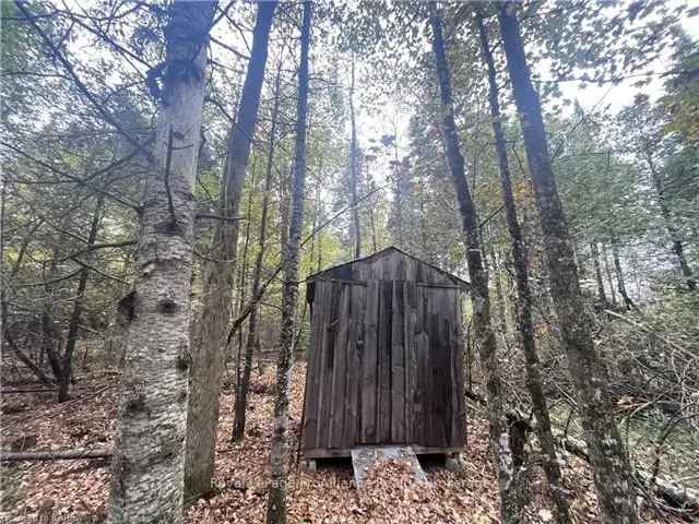 20 Acres Recreational Property with Bunkie Hydro at Road