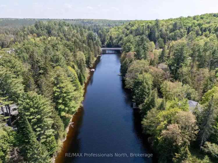 Muskoka Riverfront Chalet Lot - Private & Tranquil