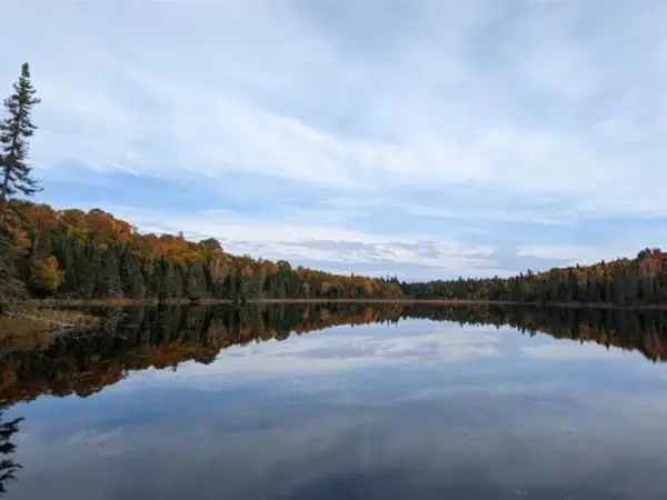 120 Acre Wooded Property with Lake Access