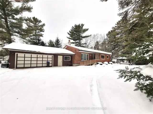 3 1 Bedroom Bungalow Family Home with Finished Basement