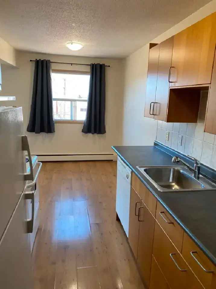Downtown 1-Bedroom Apartment with Parking and Amenities