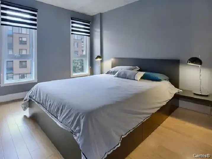 Condo for Rent in Montréal with One Bedroom and Modern Features