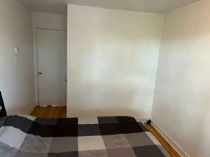 Sunny Room for Rent in 3-Bedroom Apartment