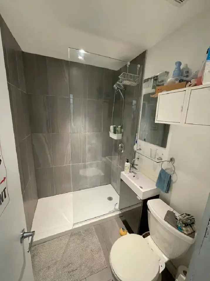 Plateau 4 12 Furnished Apartment June 1st Occupancy