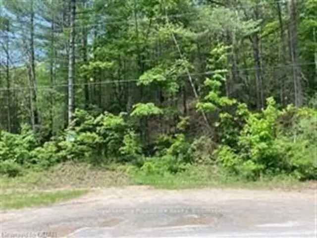 83 Acre Natural Paradise Hunting Hiking Fishing Property