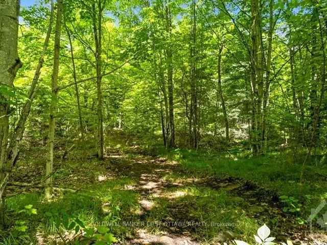 3.5 Acres Wooded Lot Near Sharbot Lake - Ideal for New Home or Cabin