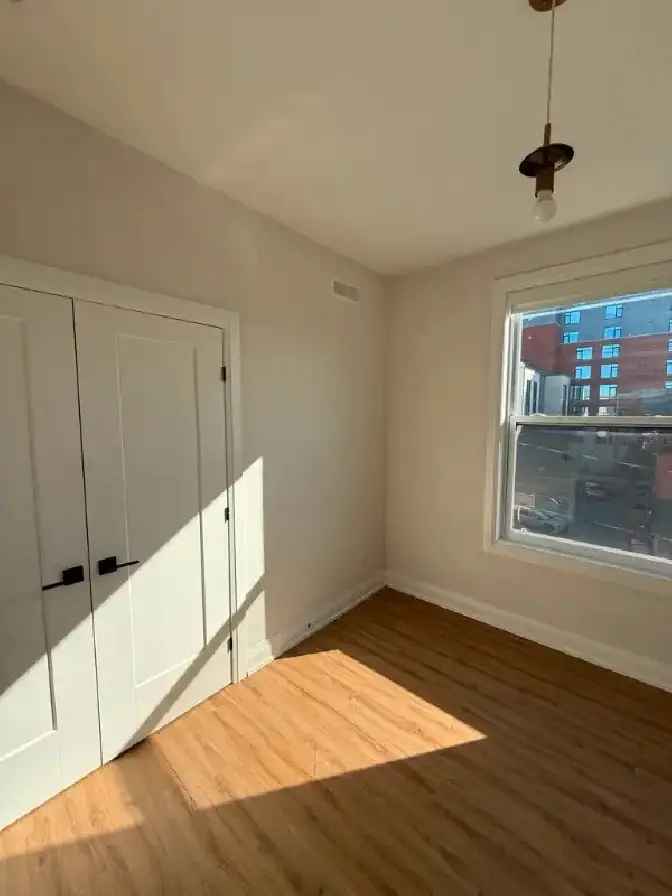 Room for Rent in 2-Bedroom Apartment in the Glebe