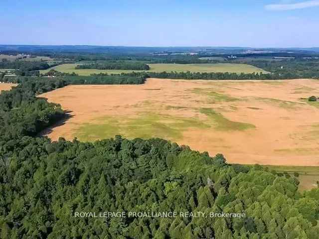 86 Acres Prime Real Estate with 72 Acres Cultivated Land and Solar System