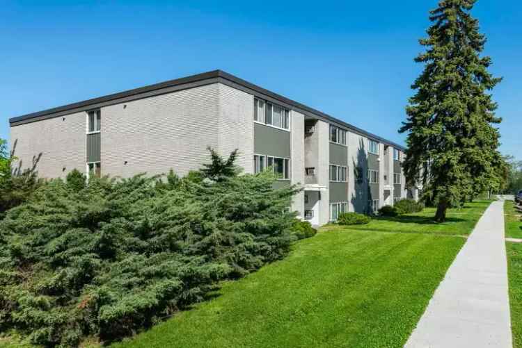 985 Brock Street Apartments Windsor