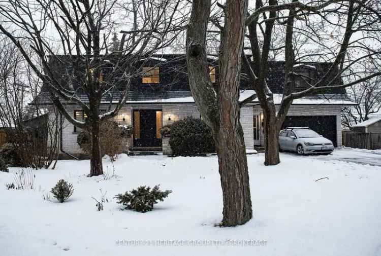 6 Bedroom Family Home in Kingston's Calvin Park