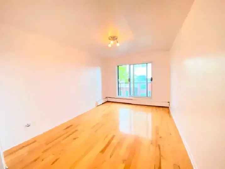 Villeray 2 1 2 Apartment for Rent