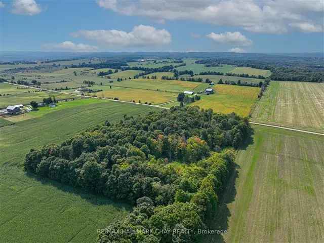 Beautiful Vacant Lot in Mulmur Near Mansfield Ski Hill