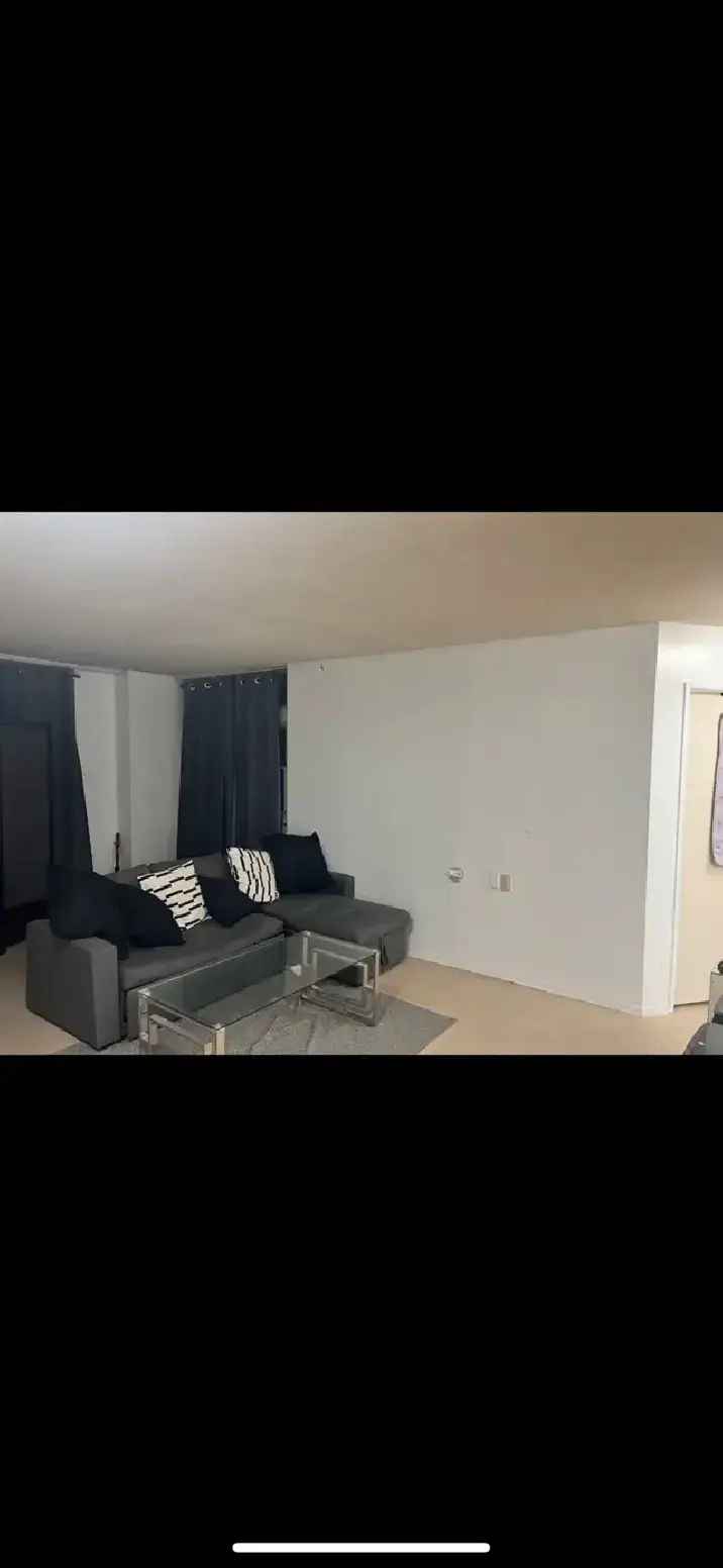 full apartment for 1 year sublet (fully furnished)