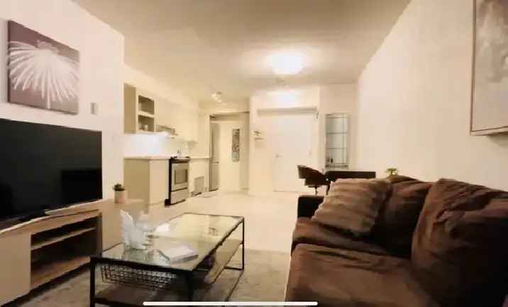 Toronto short term furnished condo