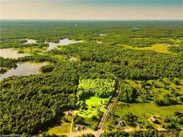 7.953 Acres Vacant Land near Parham - Build Your Dream Home