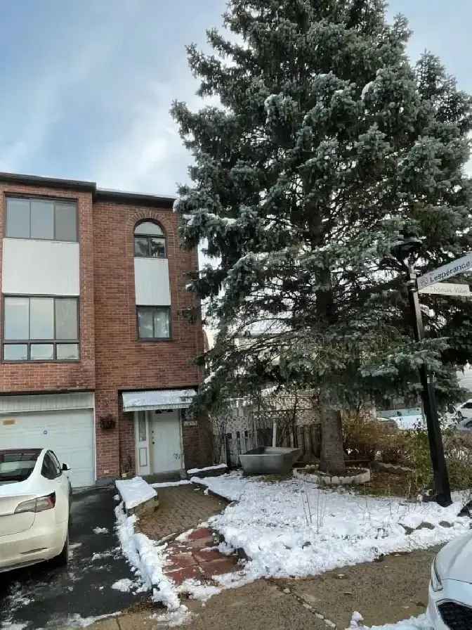 3 1 bedroom townhouse for rent, downtown montreal