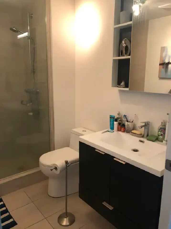 Downtown Montreal Furnished Studio Condo Rental