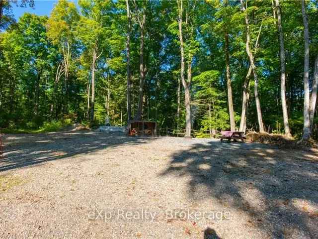 7-Acre Forested Land with Cabin and Modern Amenities