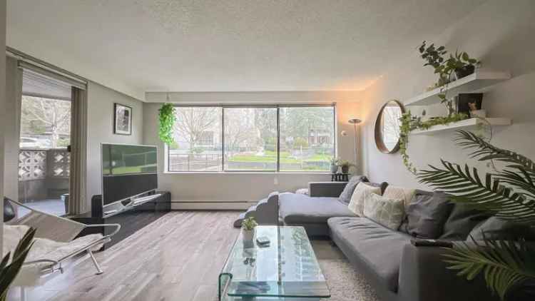 Sullivan Heights Condo for Sale - Updated Garden Unit near Lougheed Skytrain