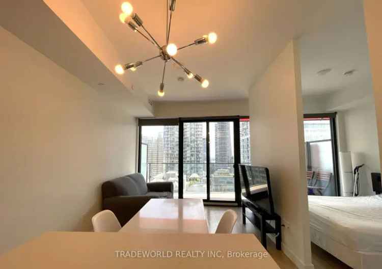 Bright Downtown One-Bedroom Condo Near Subway and U of T