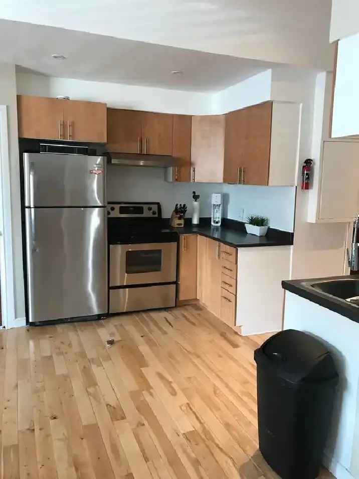 Spacious 4 1 2 Rosemont Condo Loft Pet Friendly Near Beaubien Park