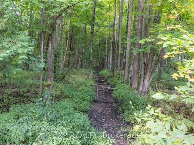 27 Acres in Oro Medonte Private Retreat Recreational Haven Investment