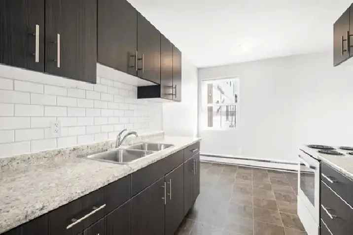 Spacious 1 Bedroom for Rent in Winnipeg!