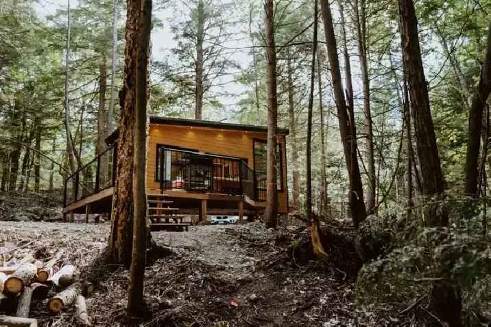 ISO Cabin Rental