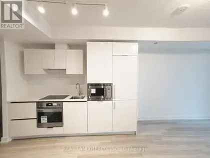 1 1 Condo Downtown Toronto Luxury Balcony Amenities