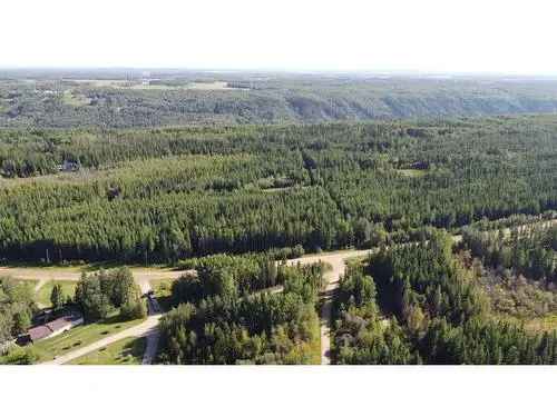 Vacant Land For Sale In Rural Grande Prairie No. 1, County of, Alberta