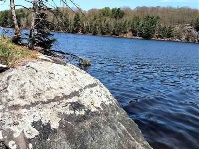 Private 3.41 Acre Waterfront Lot Bell Lake 340ft Frontage