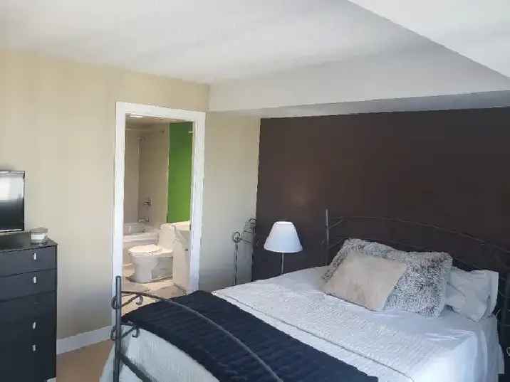 Furnished luxurious 2 bathroom condo