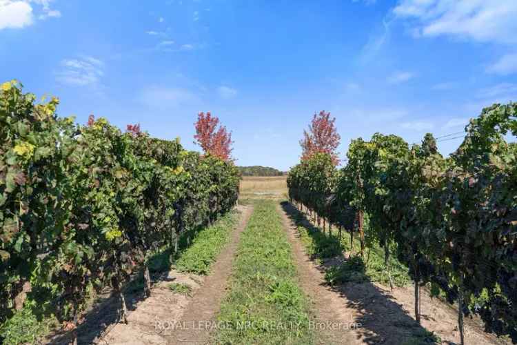 Agri-Tourism Land Near Niagara Wine Route and QEW